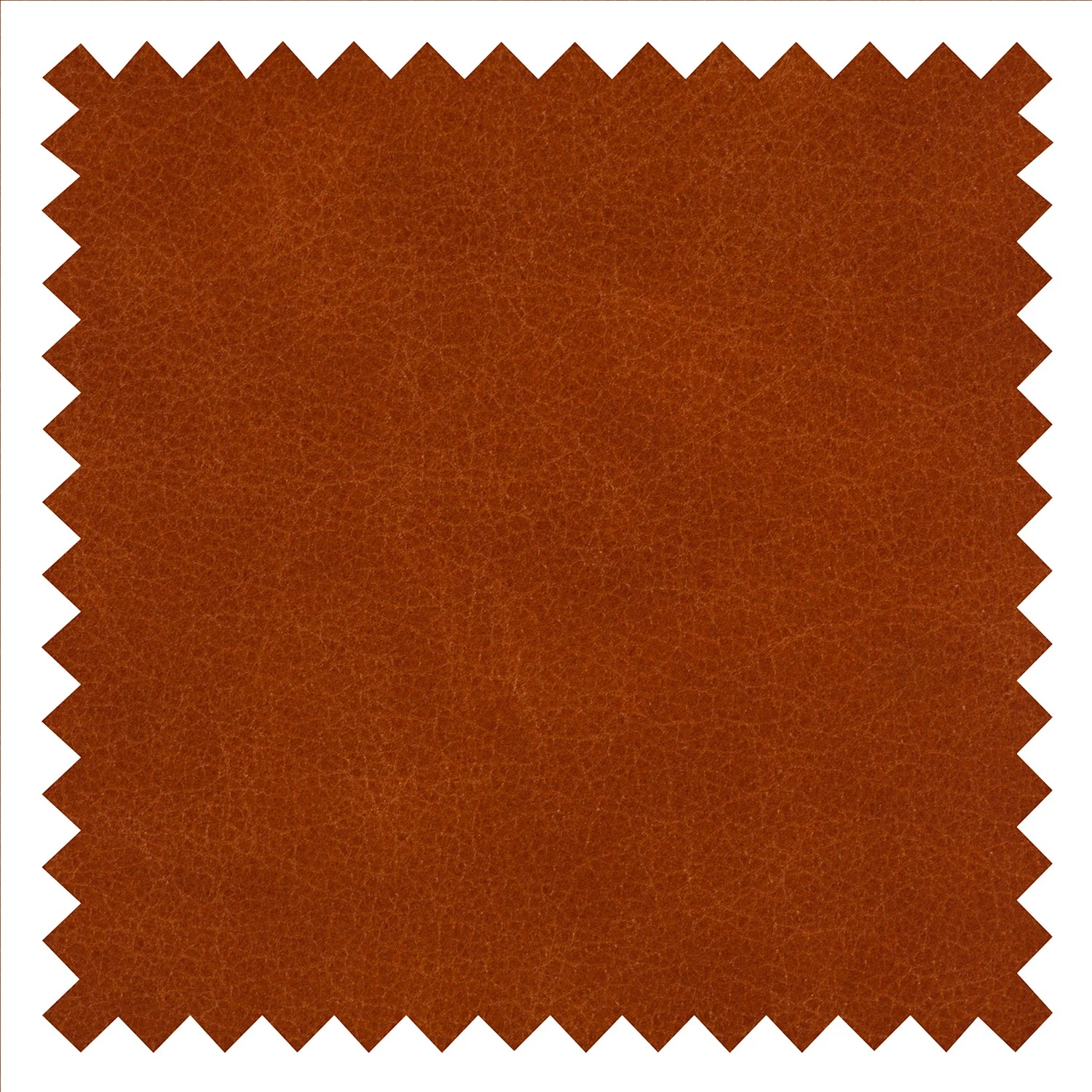 Maison Belfort Fauteuil Sweetwater - Cognac 12 Maison Belfort Fauteuil Sweetwater - Cognac – Image 10