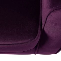 Maison Belfort Fauteuil à oreilles Luro - Velours -Pas Cher Fauteuils Magasin 1000117561 190712 10052500007 DETAILS P000000001000117561