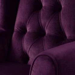 Maison Belfort Fauteuil à oreilles Luro - Velours -Pas Cher Fauteuils Magasin 1000117561 190712 10052500008 DETAILS P000000001000117561