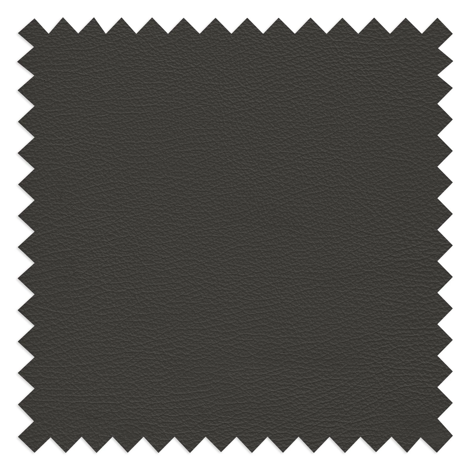 Loftscape Fauteuil Nibley II - Cuir pigmenté - Anthracite 12 Loftscape Fauteuil Nibley II - Cuir pigmenté - Anthracite – Image 10