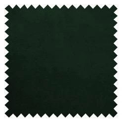 Red Living Fauteuil Botley - Velours - Vert foncé 24 Red Living Fauteuil Botley - Velours - Vert foncé -Pas Cher Fauteuils Magasin 1000216237 210210 07565600035 DETAILS P000000001000216237