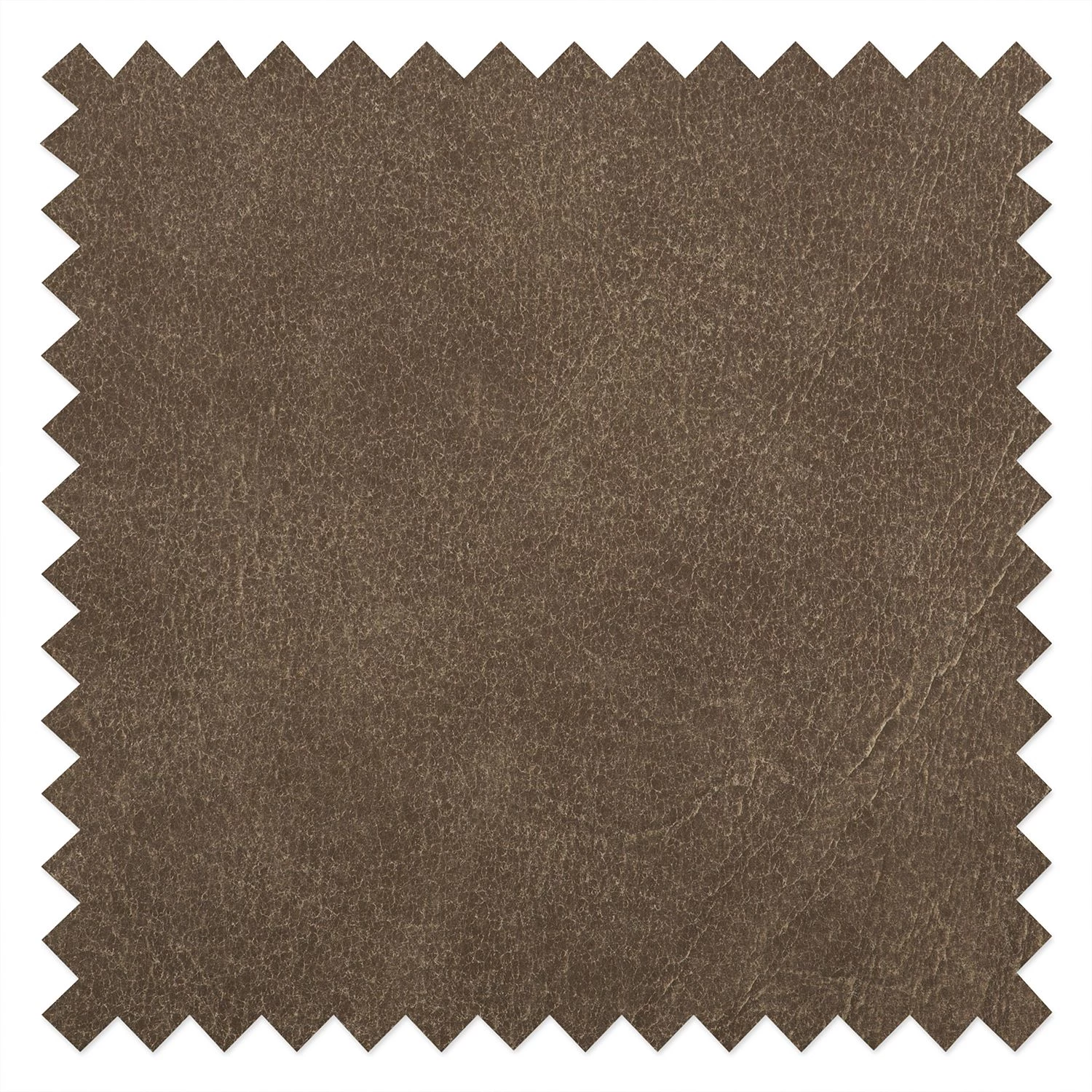 Ars Natura Fauteuil Maine - Cuir véritable - Noix de muscade 12 Ars Natura Fauteuil Maine - Cuir véritable - Noix de muscade – Image 10